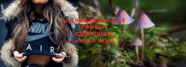 spice Верхний Тагил